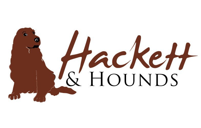 Hackett & Hounds Van Conversion