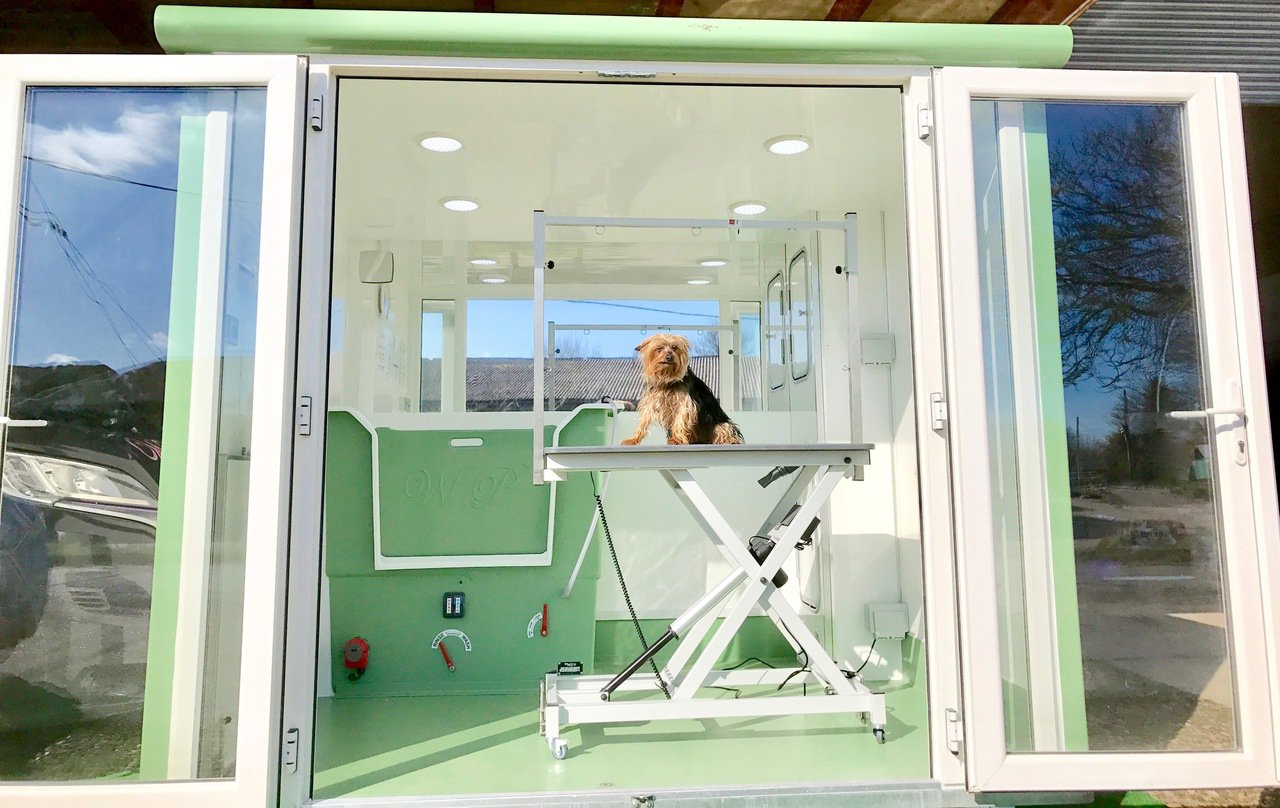 GRoom Pet Grooming Parlours Wet Pets Conversions