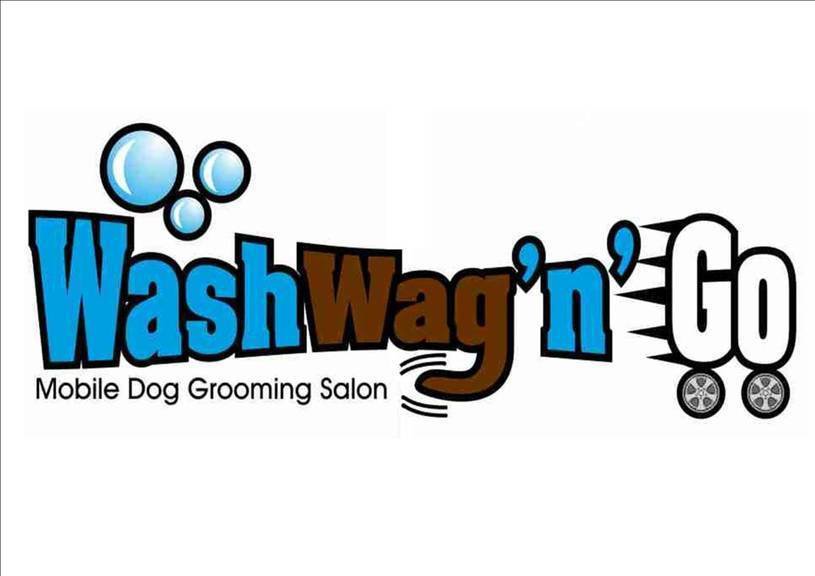 Wash Wag 'n' Go Van Conversion