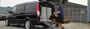 Dog Transport Conversions