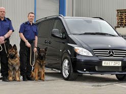 Dog Transport Conversions