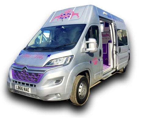 used dog grooming vans