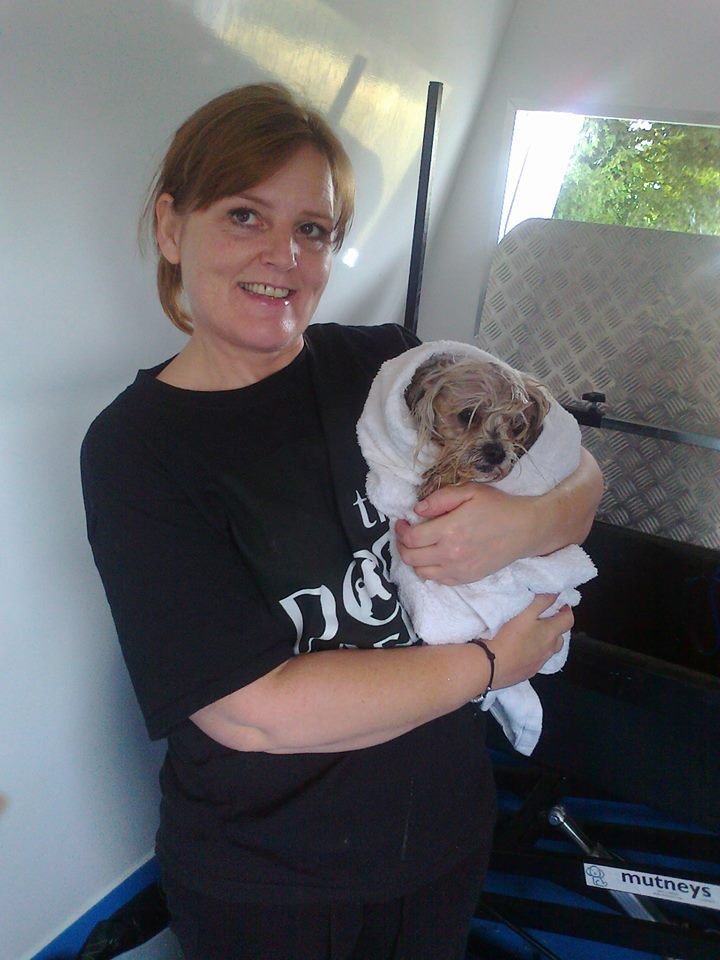 the Dog Barber Van Conversion
