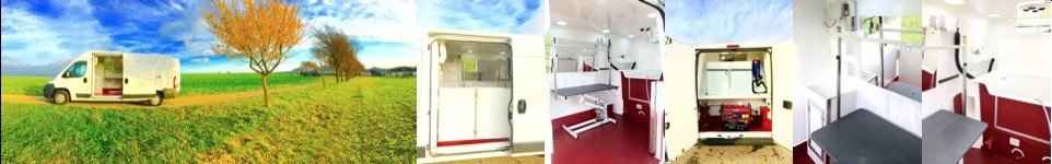 Grooming Van Conversion
