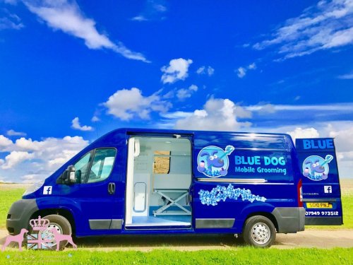  BLUE DOG MOBILE GROOMING
