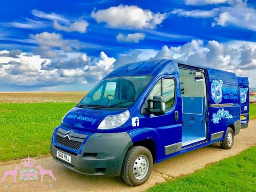  BLUE DOG MOBILE GROOMING