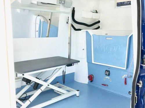  BLUE DOG MOBILE GROOMING