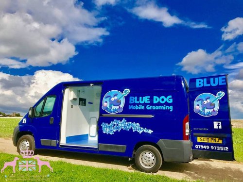  BLUE DOG MOBILE GROOMING