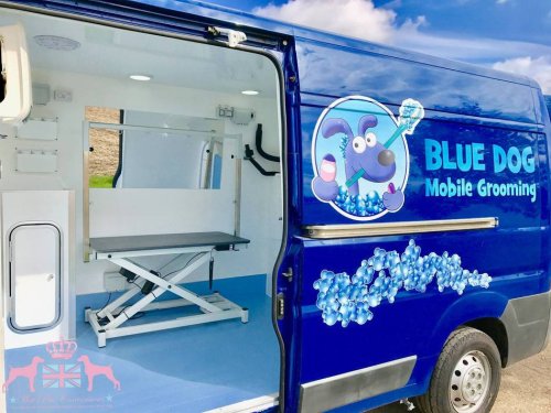  BLUE DOG MOBILE GROOMING