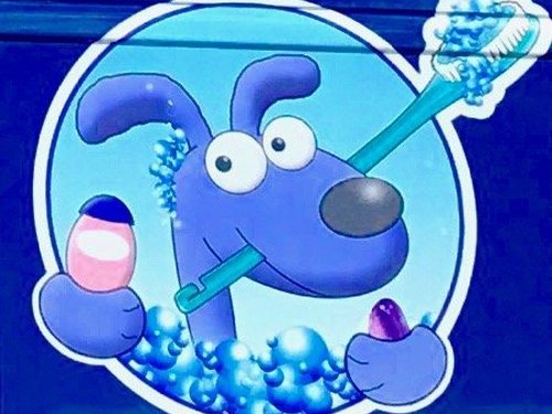  BLUE DOG MOBILE GROOMING