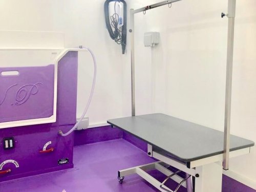 7ft wide, 8ft deep pod with a Bespoke conversion, stable door and table on wheels
