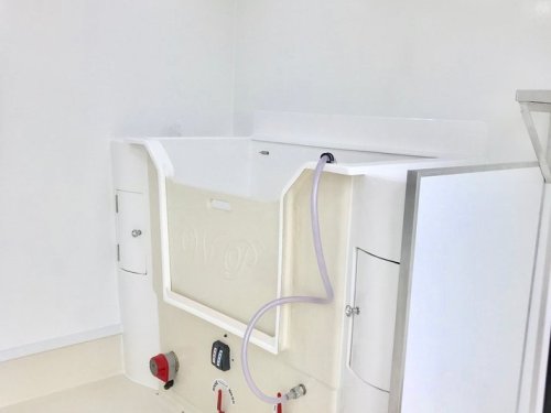 10x8 bespoke with black glazing frames, dog door and custom shelf