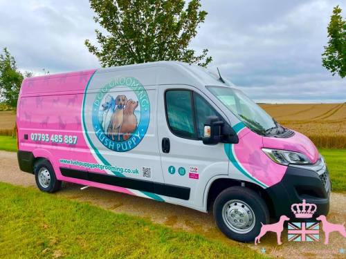 Pink custom conversion