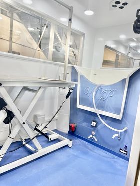 Ashton Dog grooming