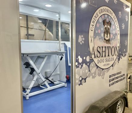 Ashton Dog grooming