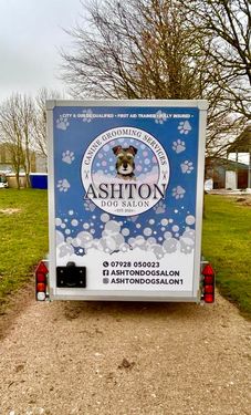 Ashton Dog grooming