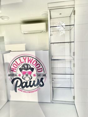 Hollywood Paws