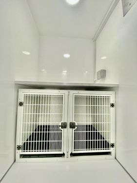 Large brown pod grey interior