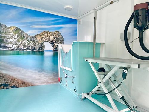 Pod with feature wall