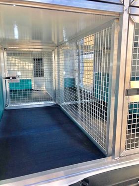 Bruce's Doggy Day Care