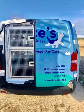 Bruce's Doggy Day Care