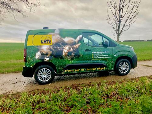 Cats protection