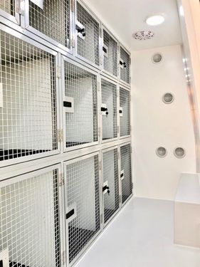 Tagz Kennels