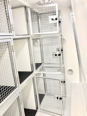 Tagz Kennels
