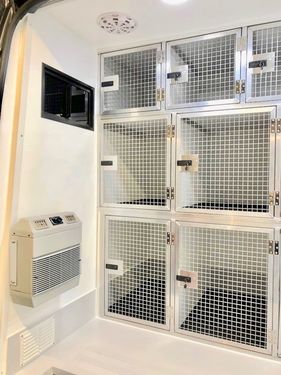 Tagz Kennels