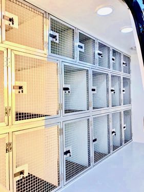 Tagz Kennels