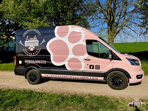 Frank's Ford Transit