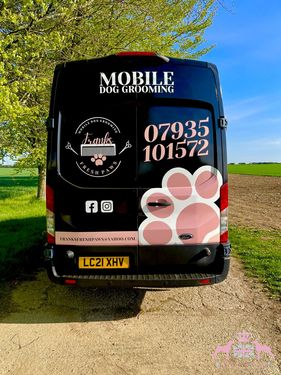Frank's Ford Transit