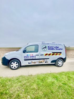 Brentlodge Wildlife Rescue