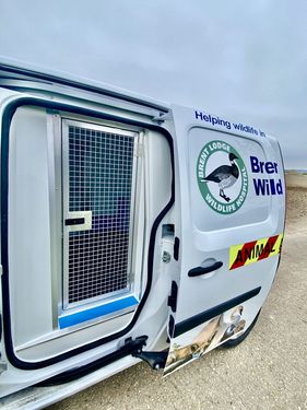 Brentlodge Wildlife Rescue
