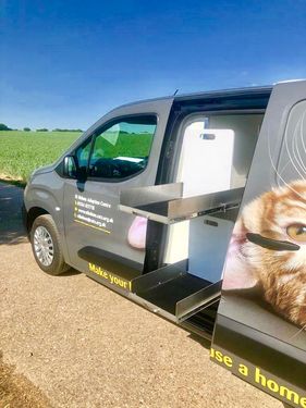 Cats Protection 2