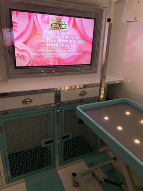 Collar and Curls